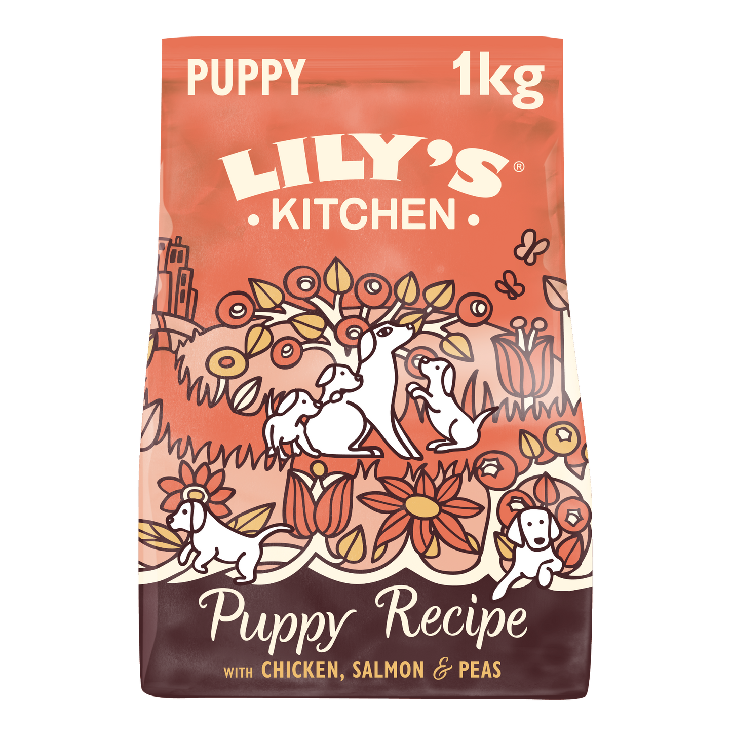 Lily's Kitchen Puppy Chicken/ Salmon GrainFree Recipe 1kg