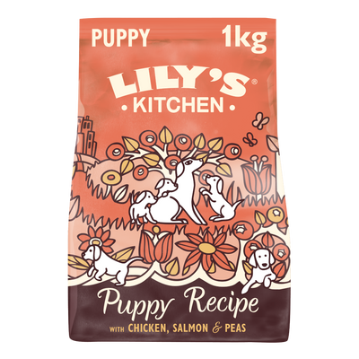 Lily's Kitchen Puppy Chicken/ Salmon GrainFree Recipe 1kg