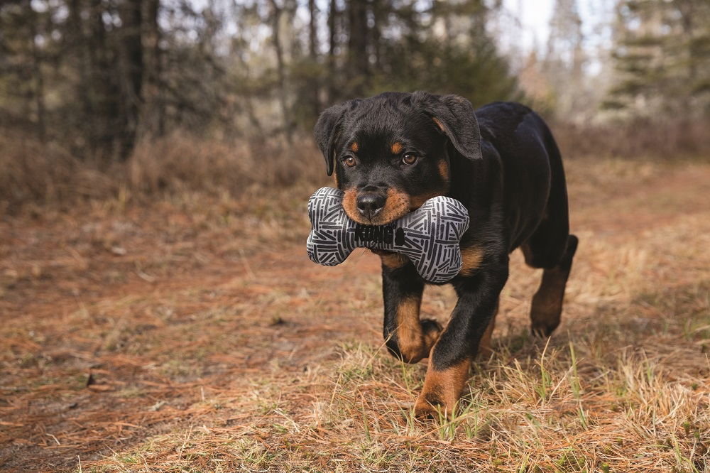 KONG Maxx Bone Medium/Large
