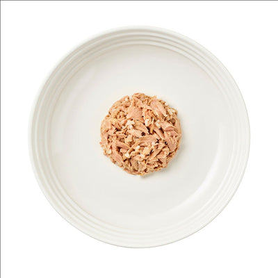 Encore Adult Wet Cat Food Pch Fish Selection in Jly 5x50g