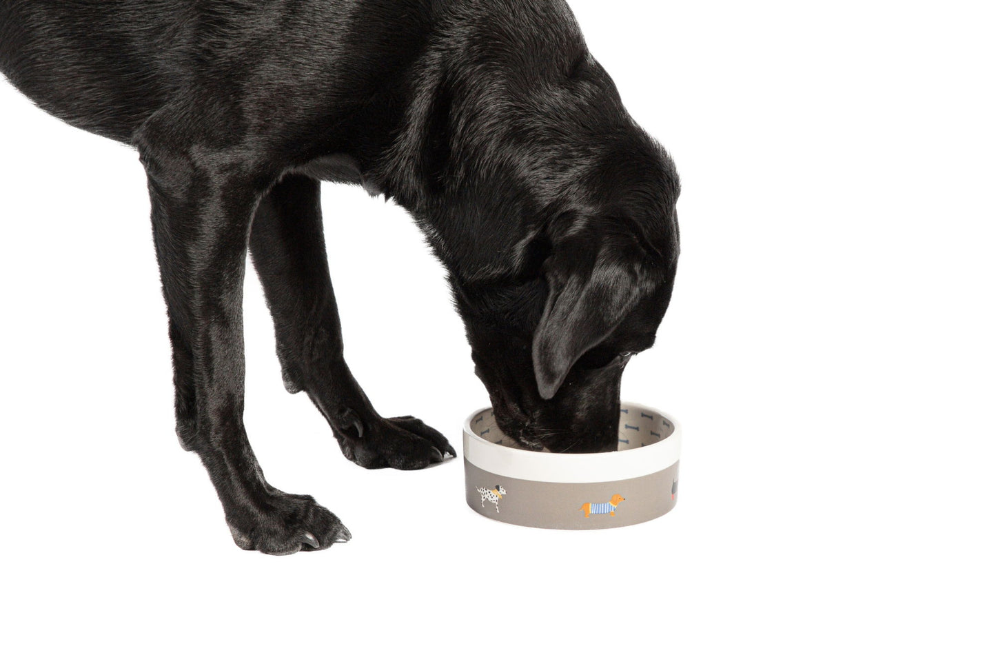 Fatface Marching Dogs Pet Bowl Large