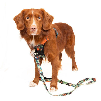 LP Earth Friendly Trig Point Leash-Citrus Army Camo 2.5cm