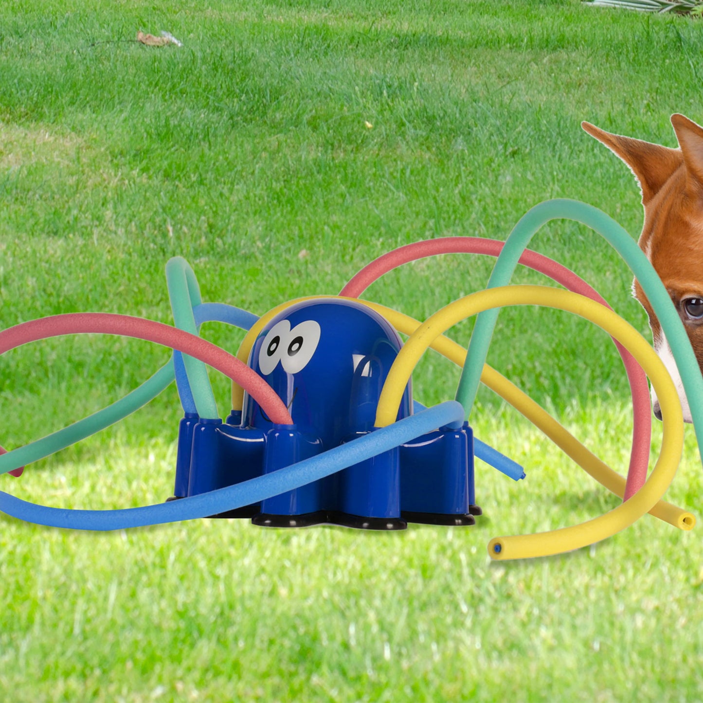 Octopus Sprinkler