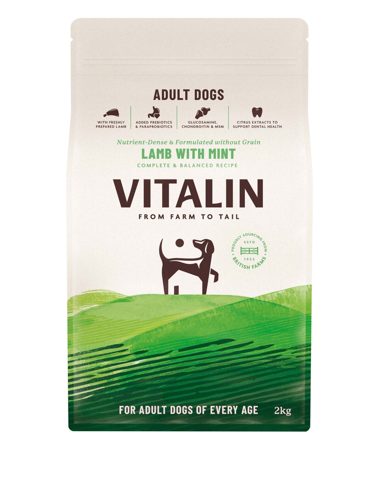 Vitalin Adult Lamb and Mint 2KG