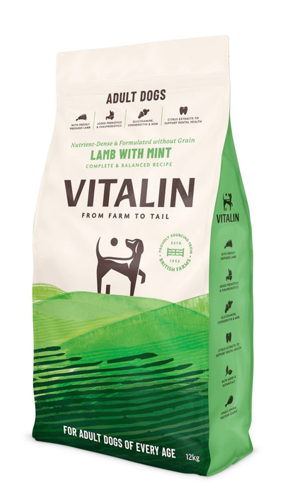 Vitalin Adult Lamb and Mint 12KG