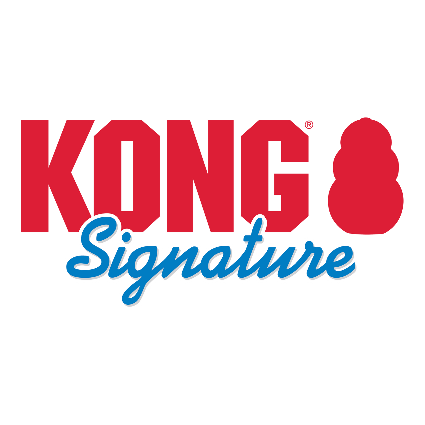 KONG Signature Dynos Assorted Medium