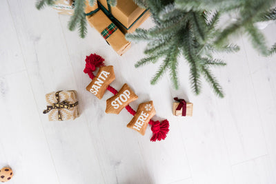 Santa Stop Here Rope Toy