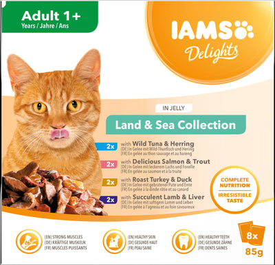 IAMS Delights Land & Sea Collection in Jelly 8pk