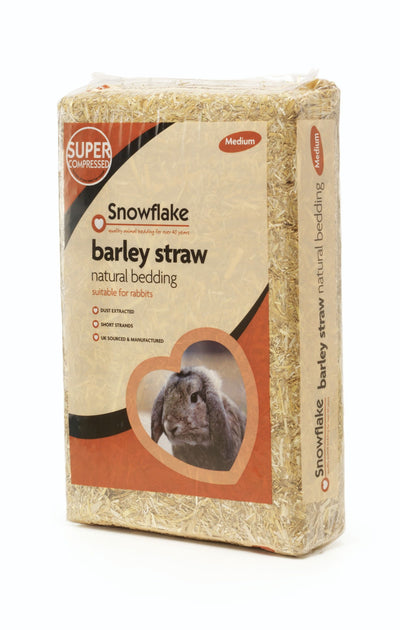 Snowflake Barley Straw Medium