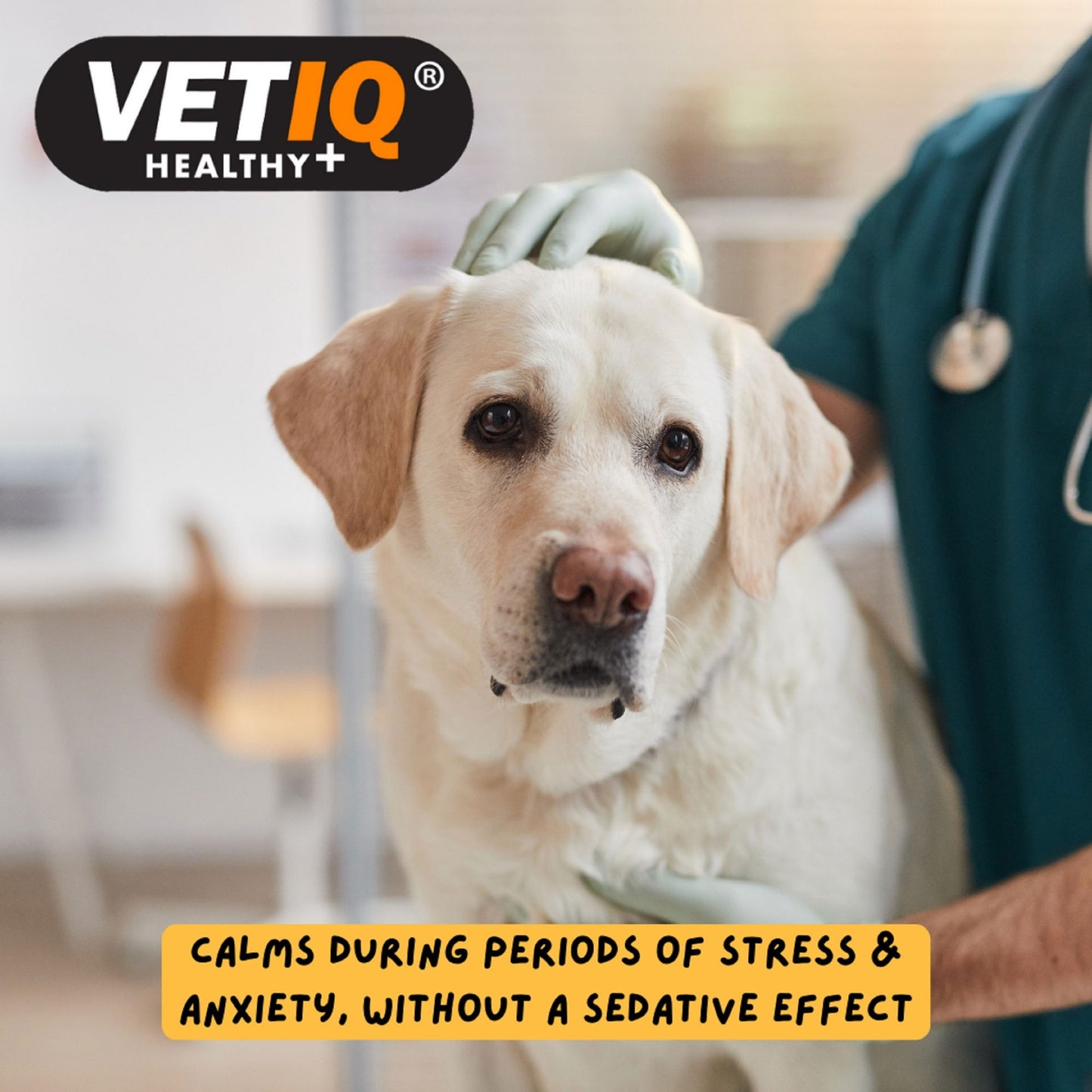VetIQ Serene Calming Plus 60 Tablets