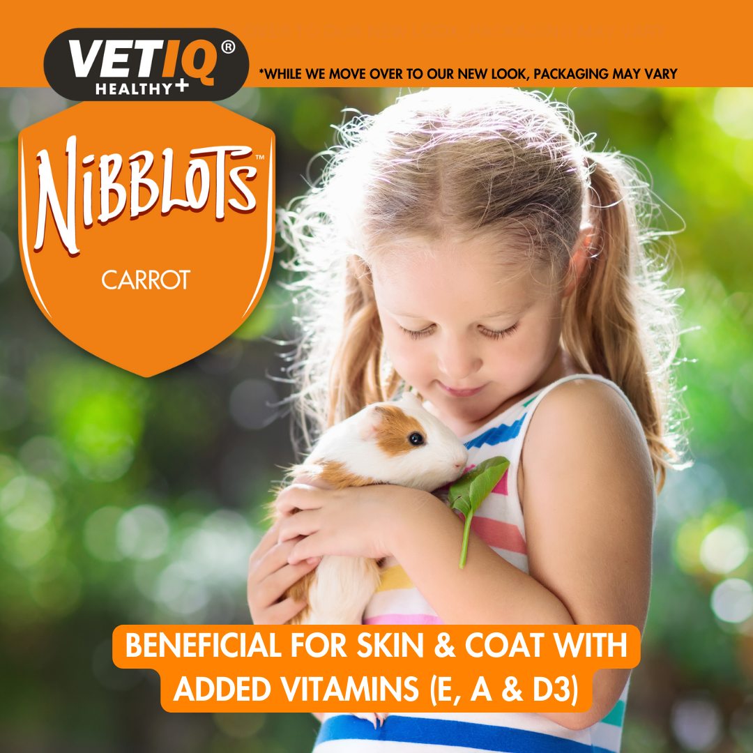 Nibblots For Small Animals Carrot 30g