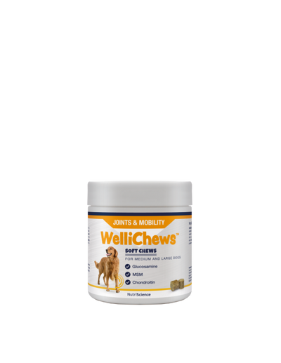 Wellichew - Joint Medium/Large Dog - 60 Chews 120g