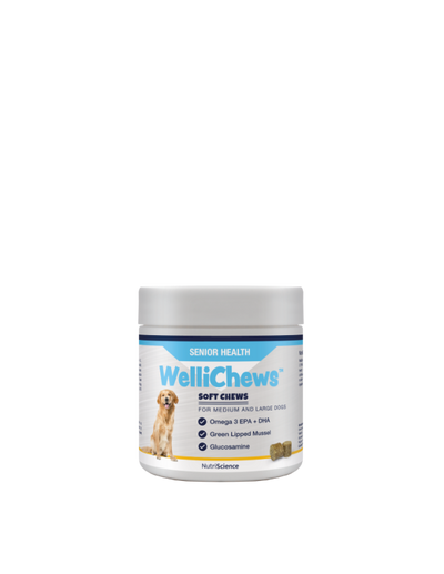 Wellichew Senior Health Chews Medium/Large Dogs - 60 Chews 120g
