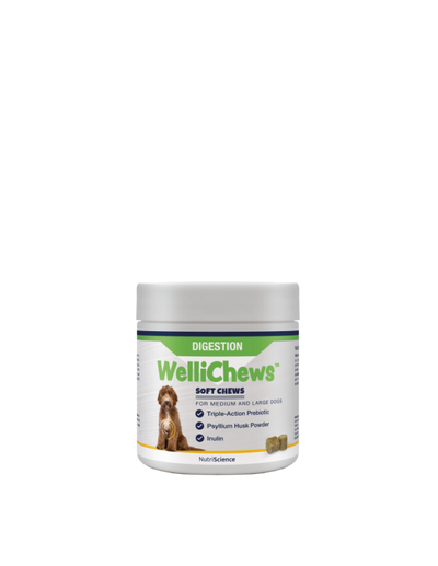Wellichew - Digestion Medium/Large Dogs - 60 Chews 106g