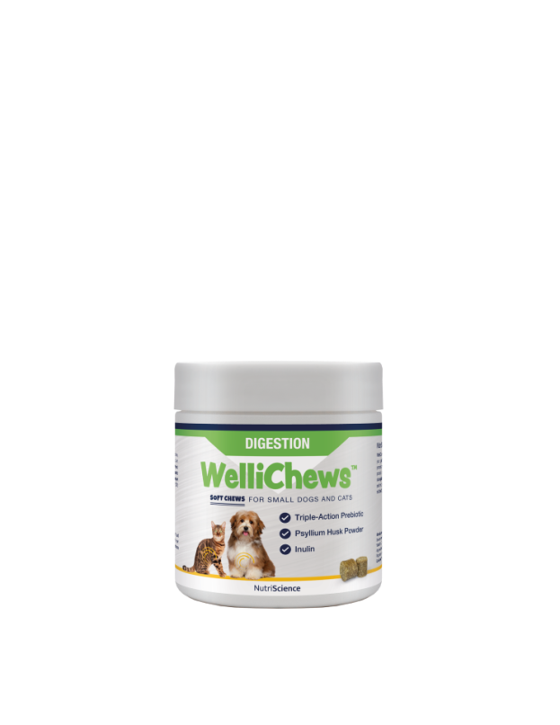 Wellichew Digestion Small Dog/Cat 120 Chews- 106g