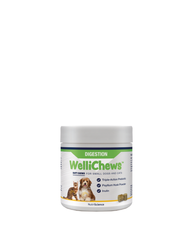Wellichew Digestion Small Dog/Cat 120 Chews- 106g