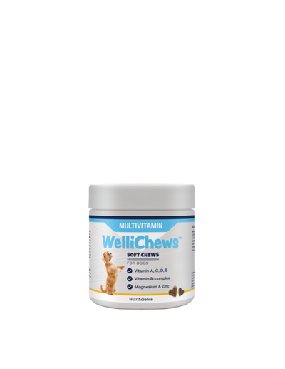 Wellichew - Multi-Vitamin Dog 60 Chews - 115g