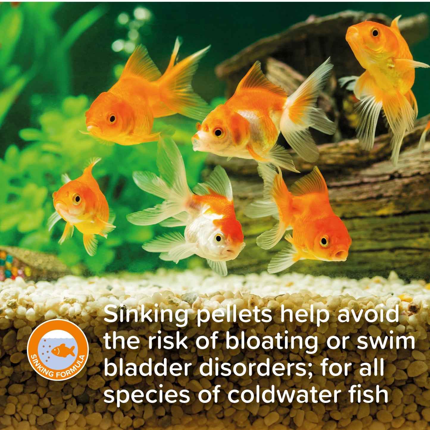 King British Goldfish Sinking Pellets 150g