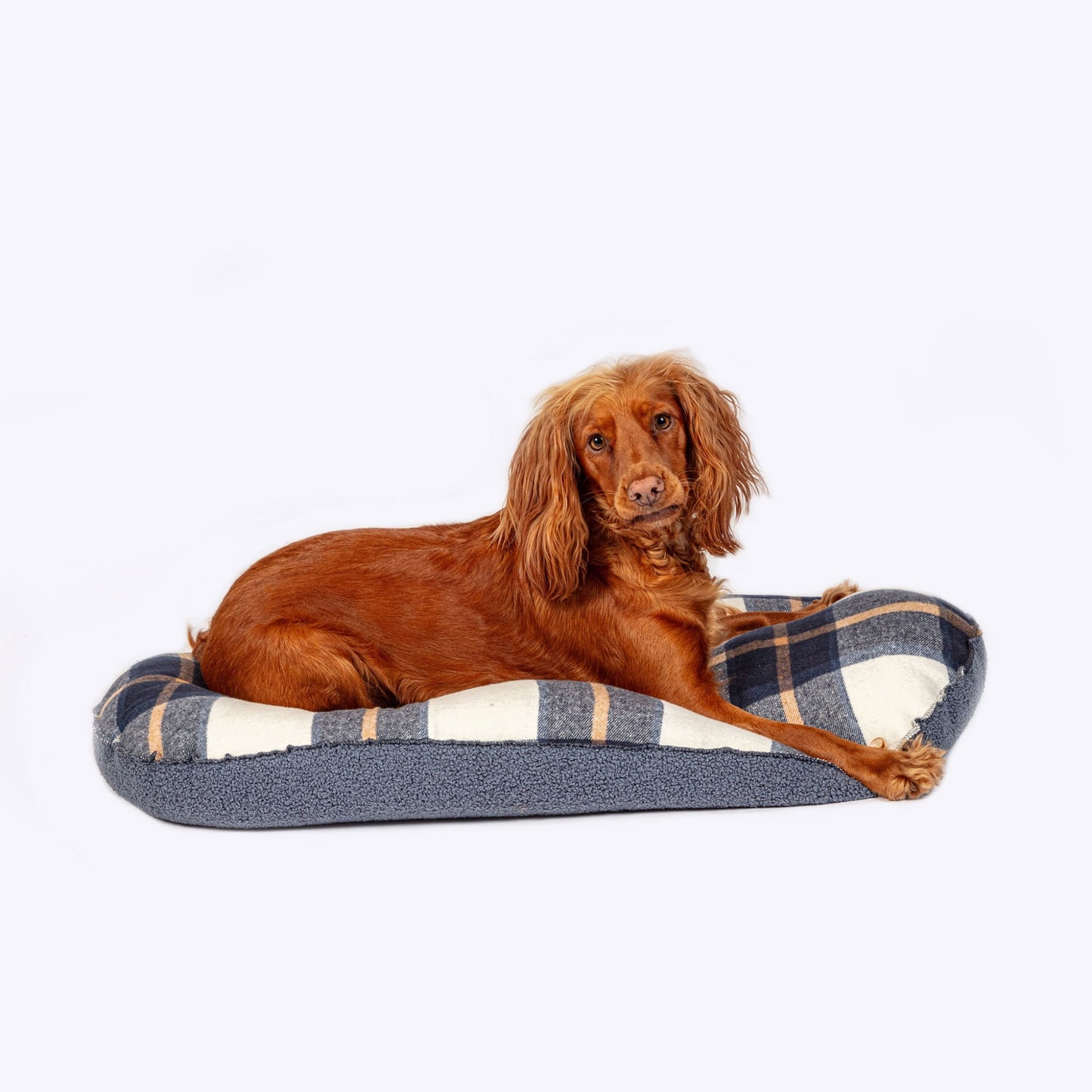 Bowmore Navy Quilted Mattress Large (33")
