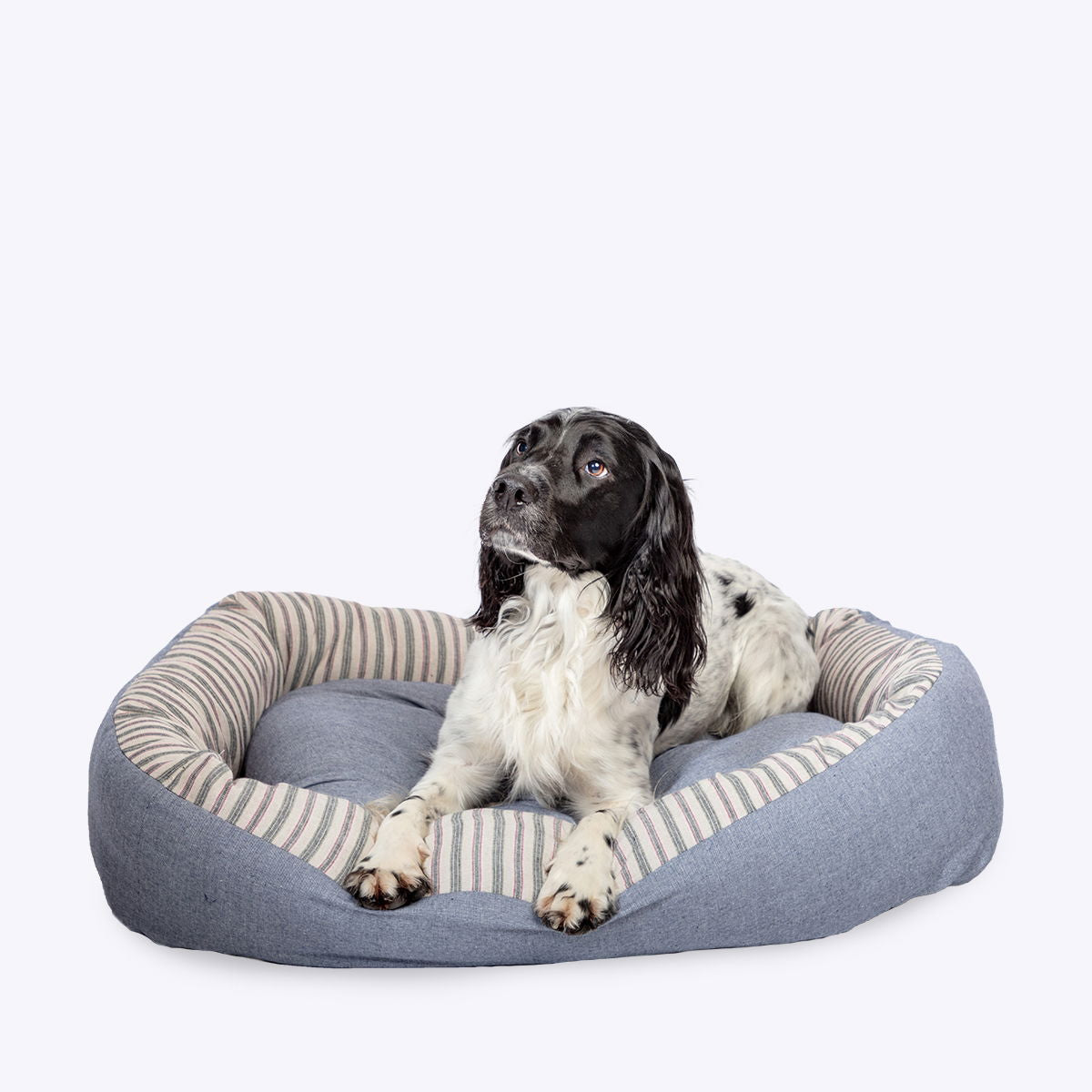 Rustic Stripes Denim Snuggle Bed 23"
