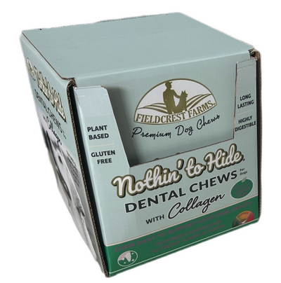 Dental Bone Beef 5" cigar band  24Pc PDQ