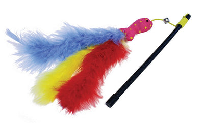 Carnival Fish Cat Teaser