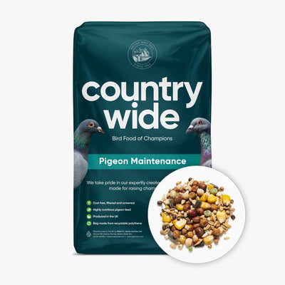 Countrywide Pigeon Maintenance Mix 20kg