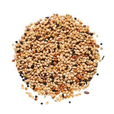 Countrywide Foreign Finch Mix 20kg