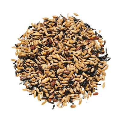 Countrywide No Rape Canary Breeders Mix 20kg