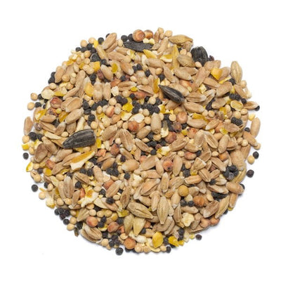 Countrywide Summer Season Wild Bird Mix 20kg