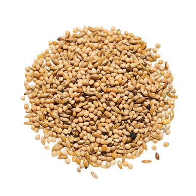 Countrywide Best Budgie 50/50 Mix 20kg