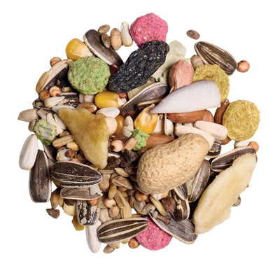 Countrywide Parrot Super Delux plus Fruit Mix 12.5kg