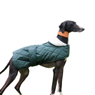 Quilted Hound Coat 70cm