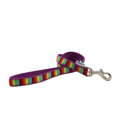 Rainbow Lead 1m x 19mm