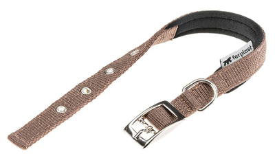 Daytona C20/43 Collar Brown