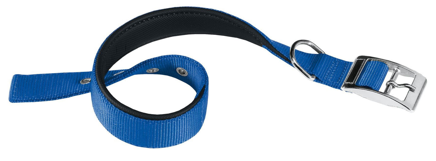 Daytona C25/45 Collar Blue