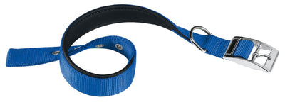 Daytona C30/55 Collar Blue