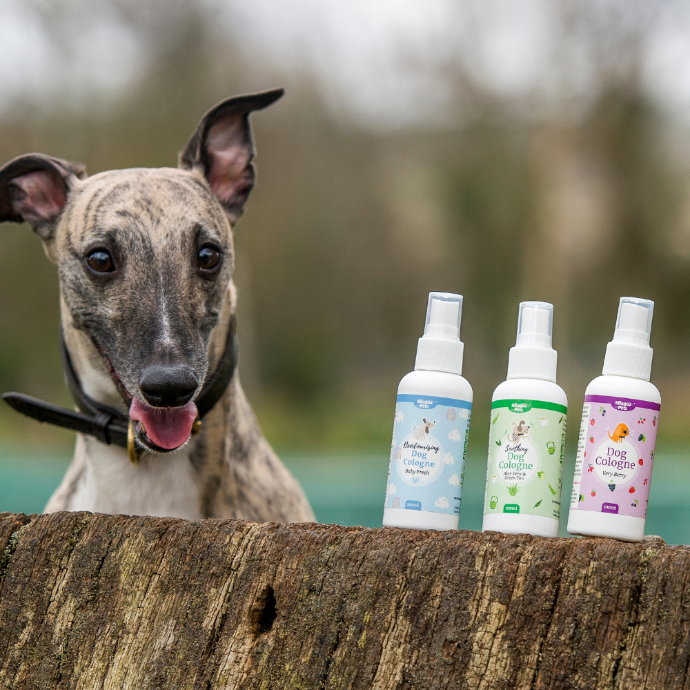 Very Berry Dog Cologne 100ml
