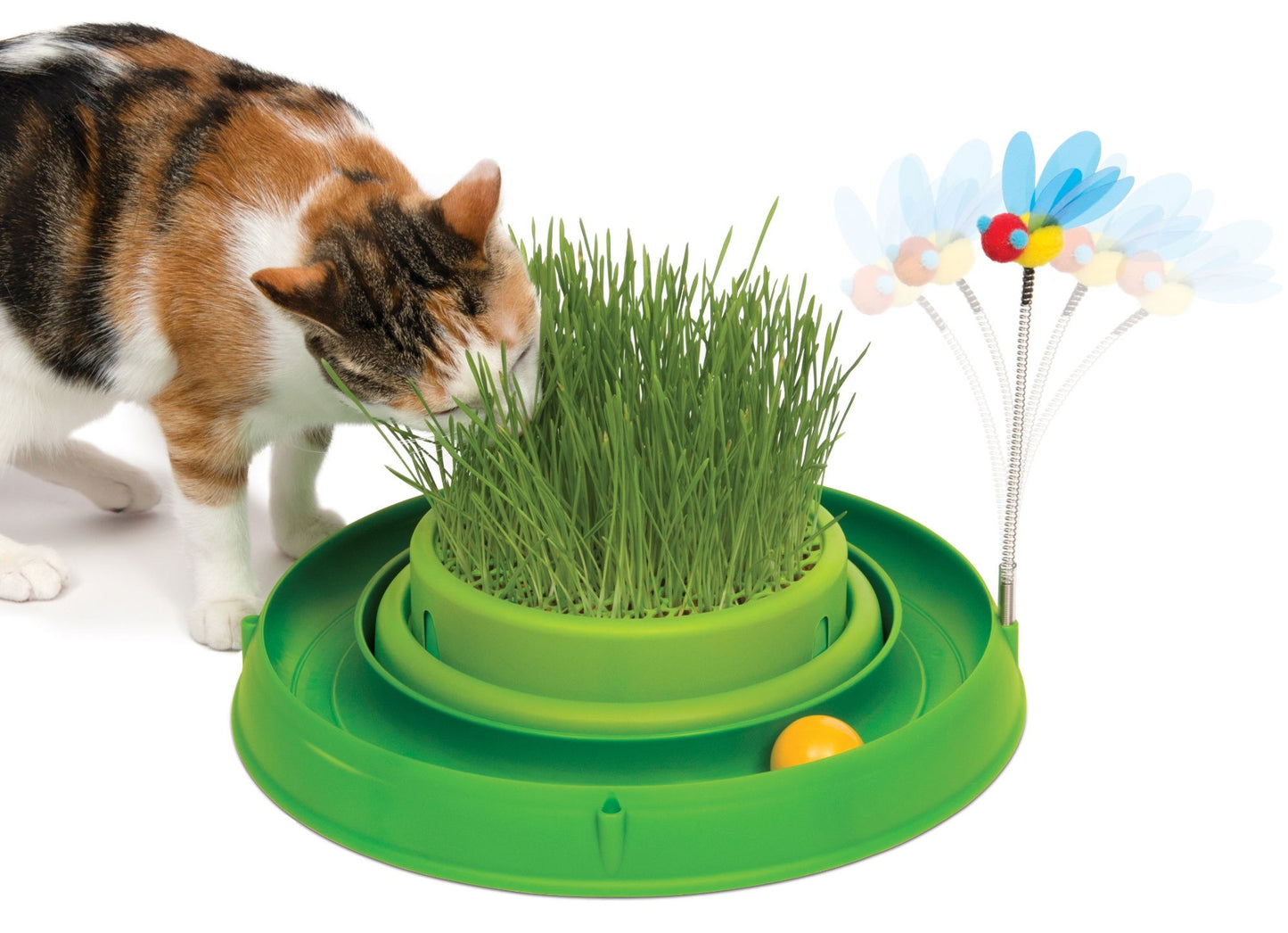 Catit Play Circuit Ball Toy With Grass Green