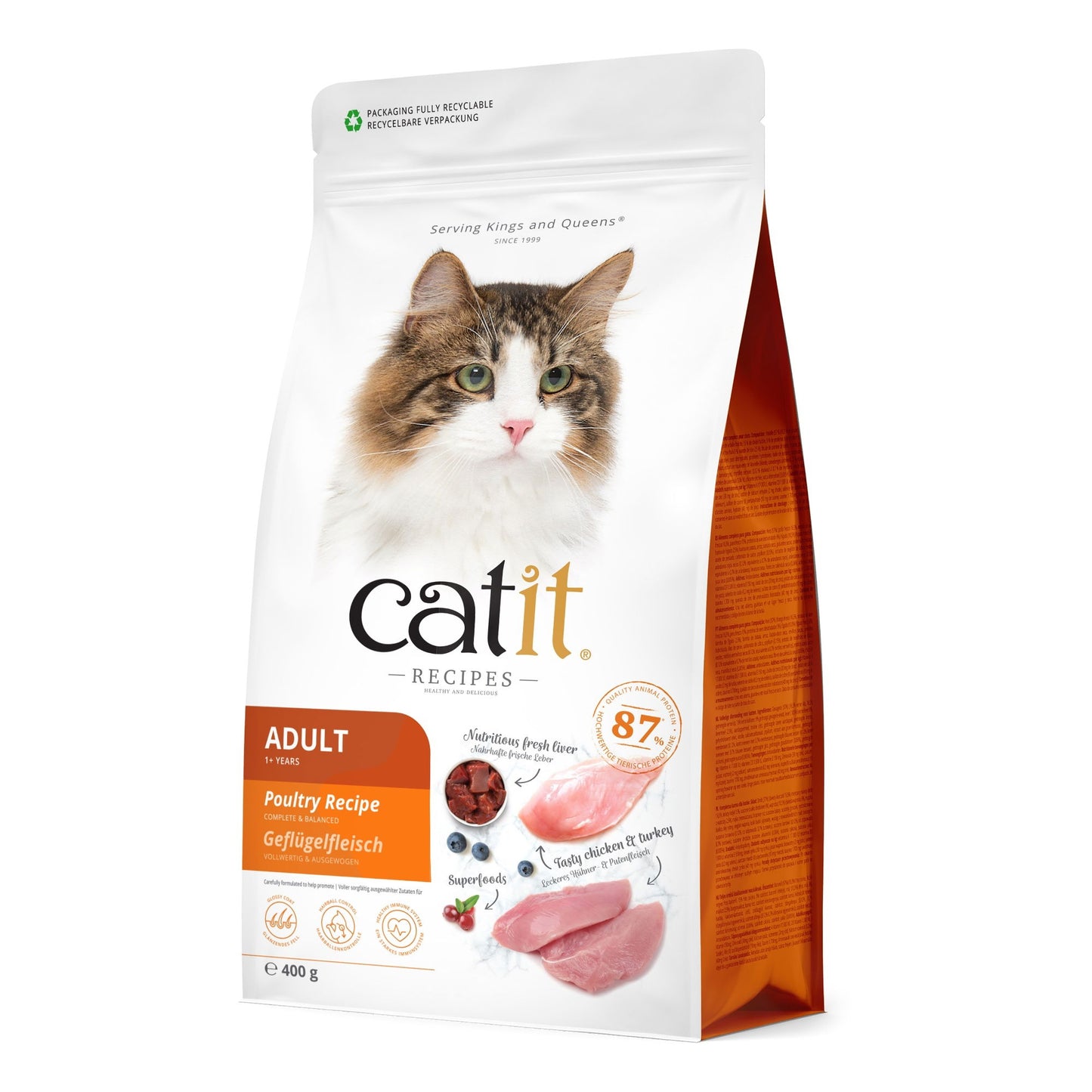 Catit Recipes Dry Adult Poultry 400g