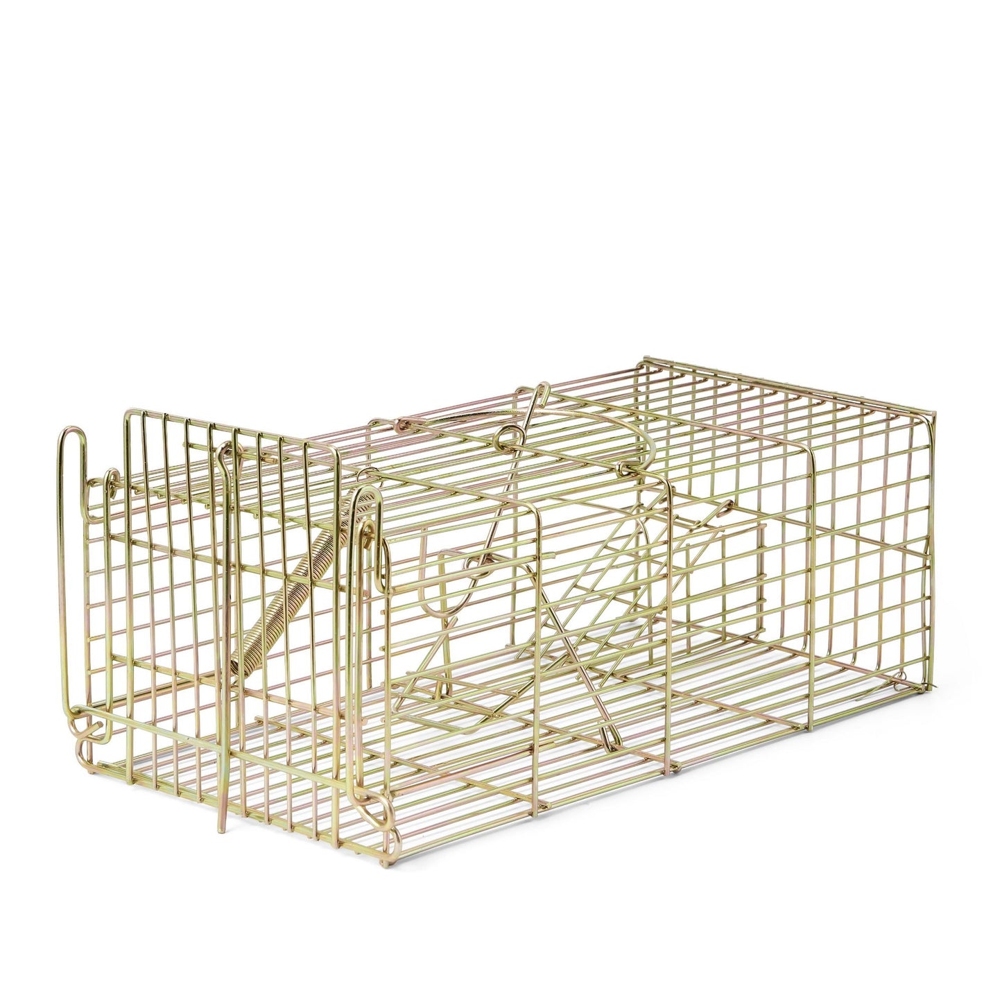 Rat Cage