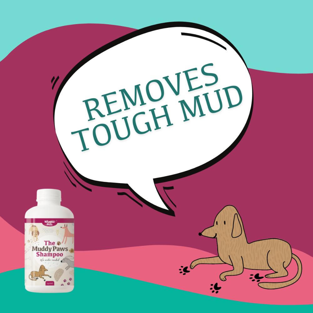 The Muddy Paws Towel Off Shampoo 240ml