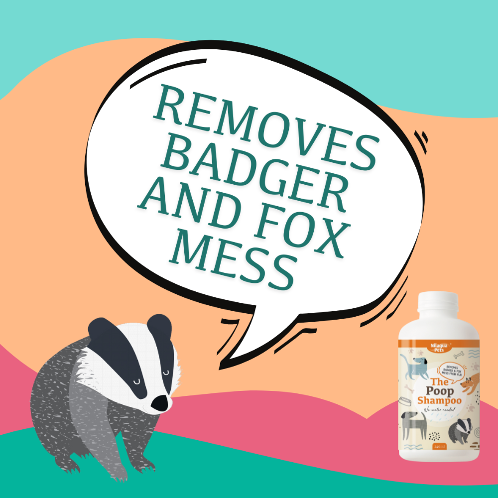 The Poop Shampoo 500ml - No Water Required