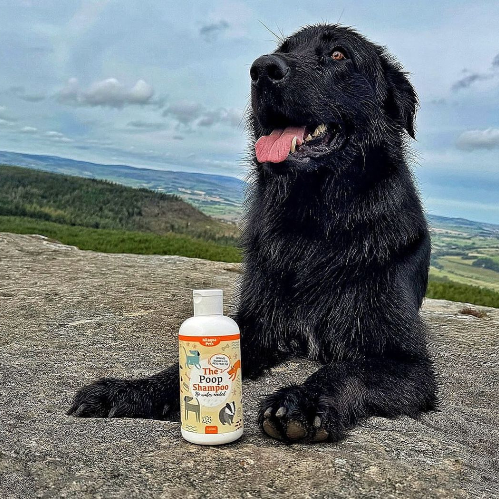 The Poop Shampoo 500ml - No Water Required