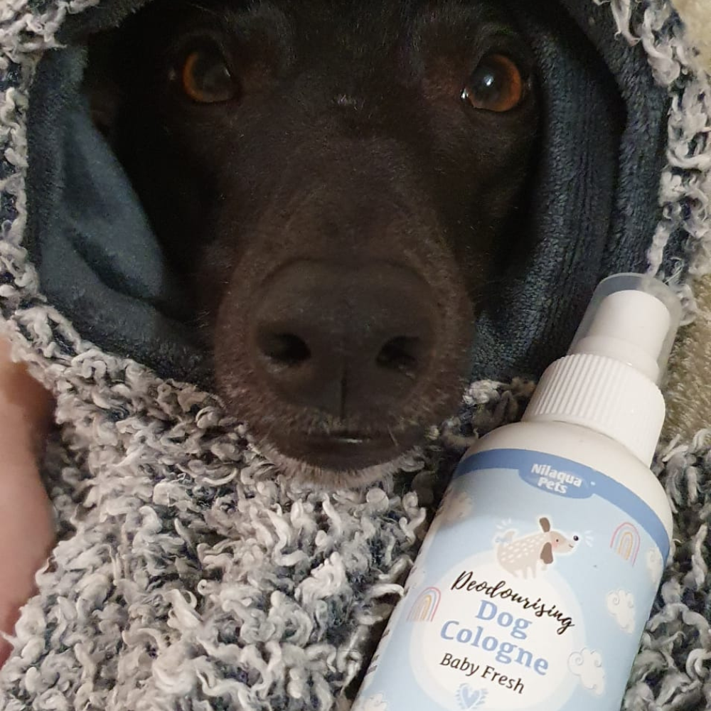 Baby Fresh Dog Cologne 100ml