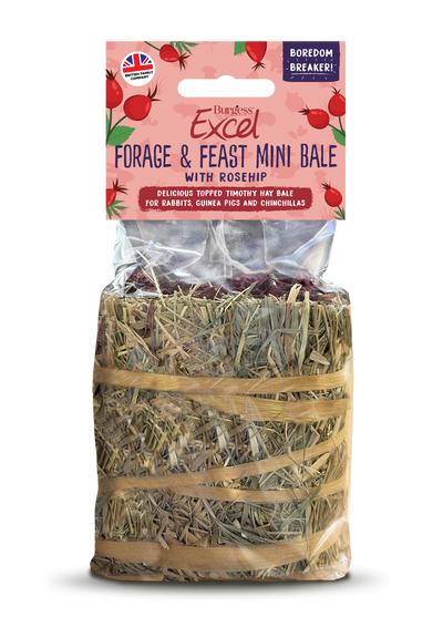 Forage and Feast Hay Bale with Rosehip