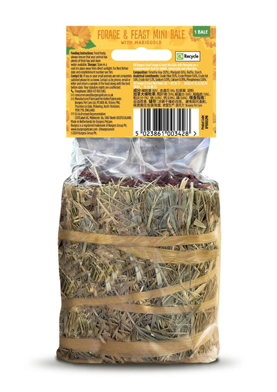 Forage and Feast Hay Bale with Marigold