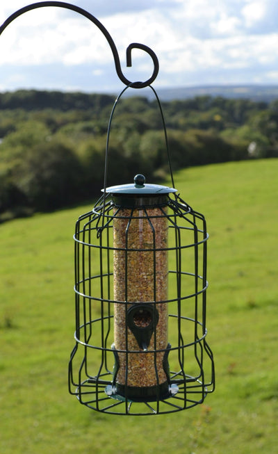 Caged Seed Feeder