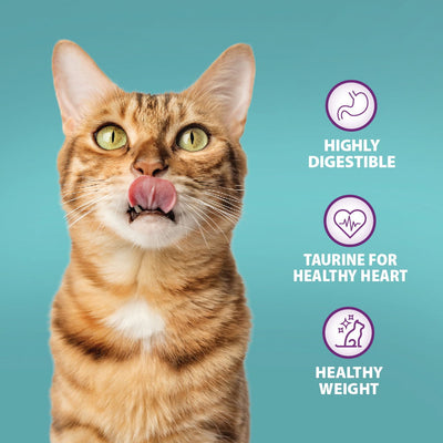 Burns Original Adult/Senior Dry Cat Food Chicken & Brown Rice 300g