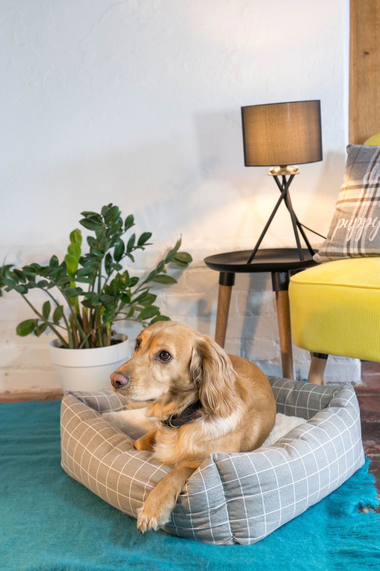 Check Sofa Bed Medium